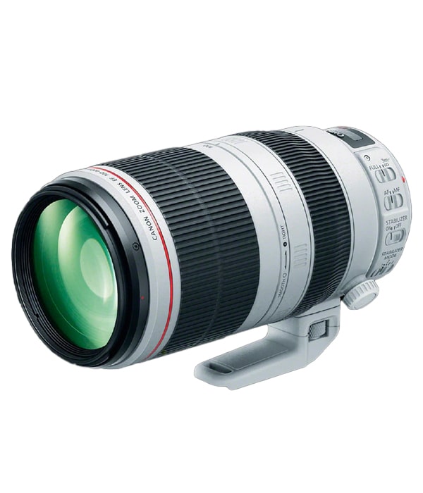 LEF10040045CA2