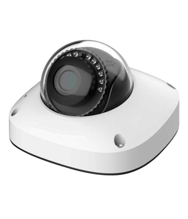 EN-CDUM-008b