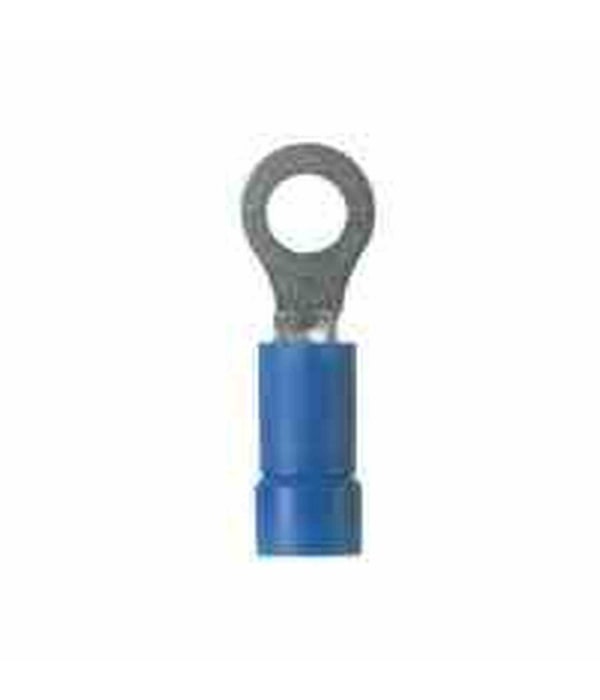XLE-SP08177